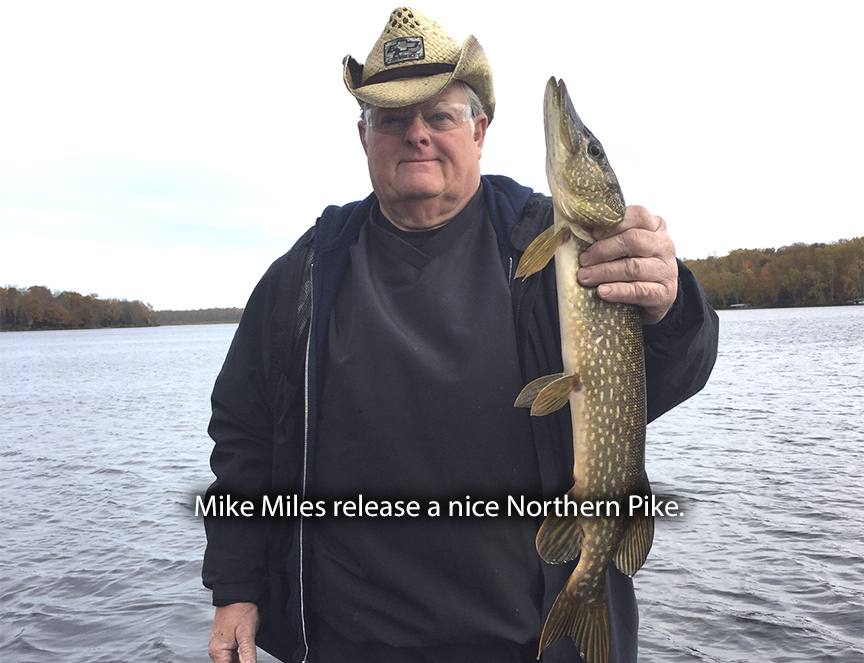 Mike Miles Northern Pike