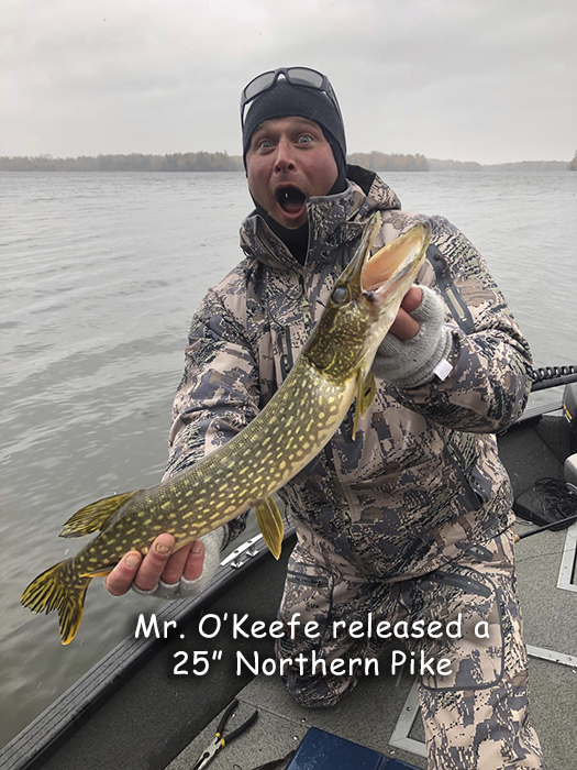 Northern Pike Released