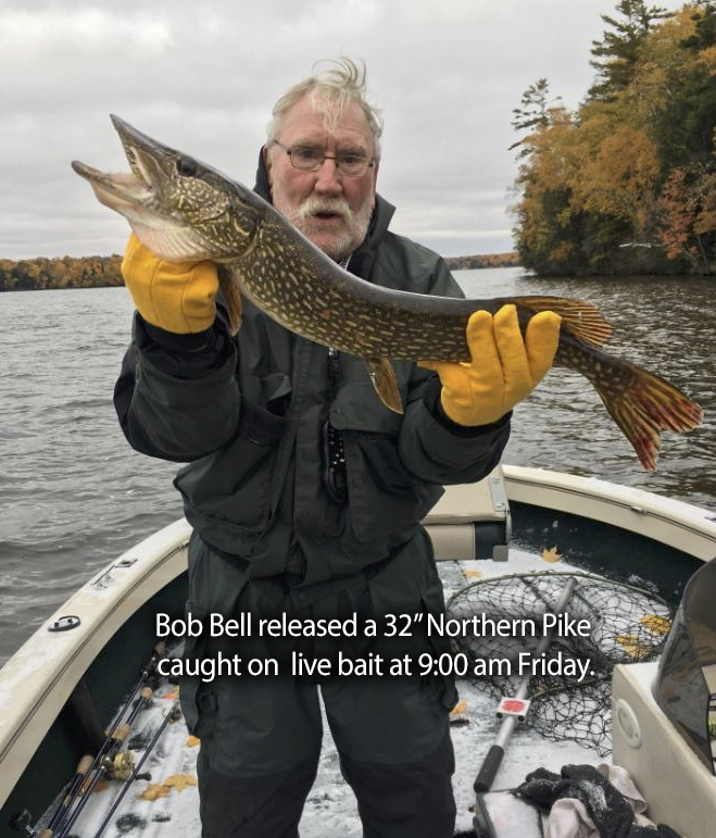 Bob Bell' Northern Pike