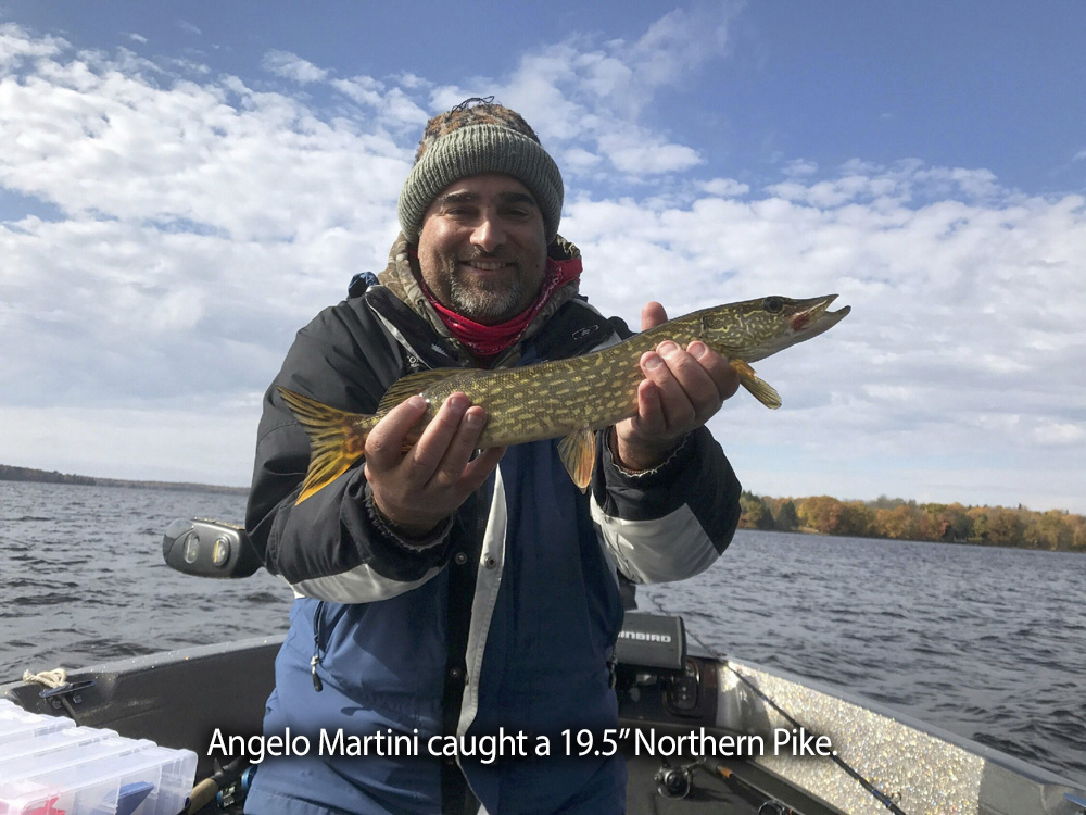 Angelo Martini released Northern Pike